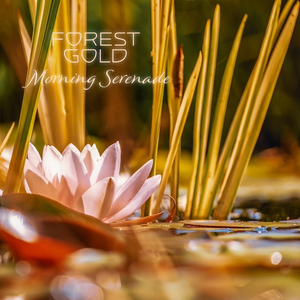 日本一本首视频二区
