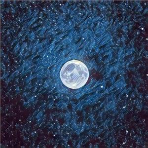 日本一本首视频二区
