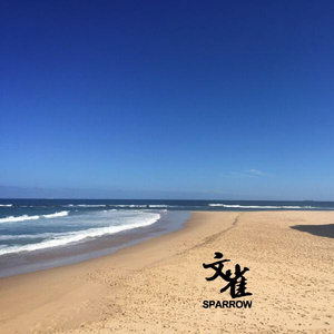 日本一本首视频二区
