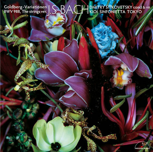 日本一本首视频二区
